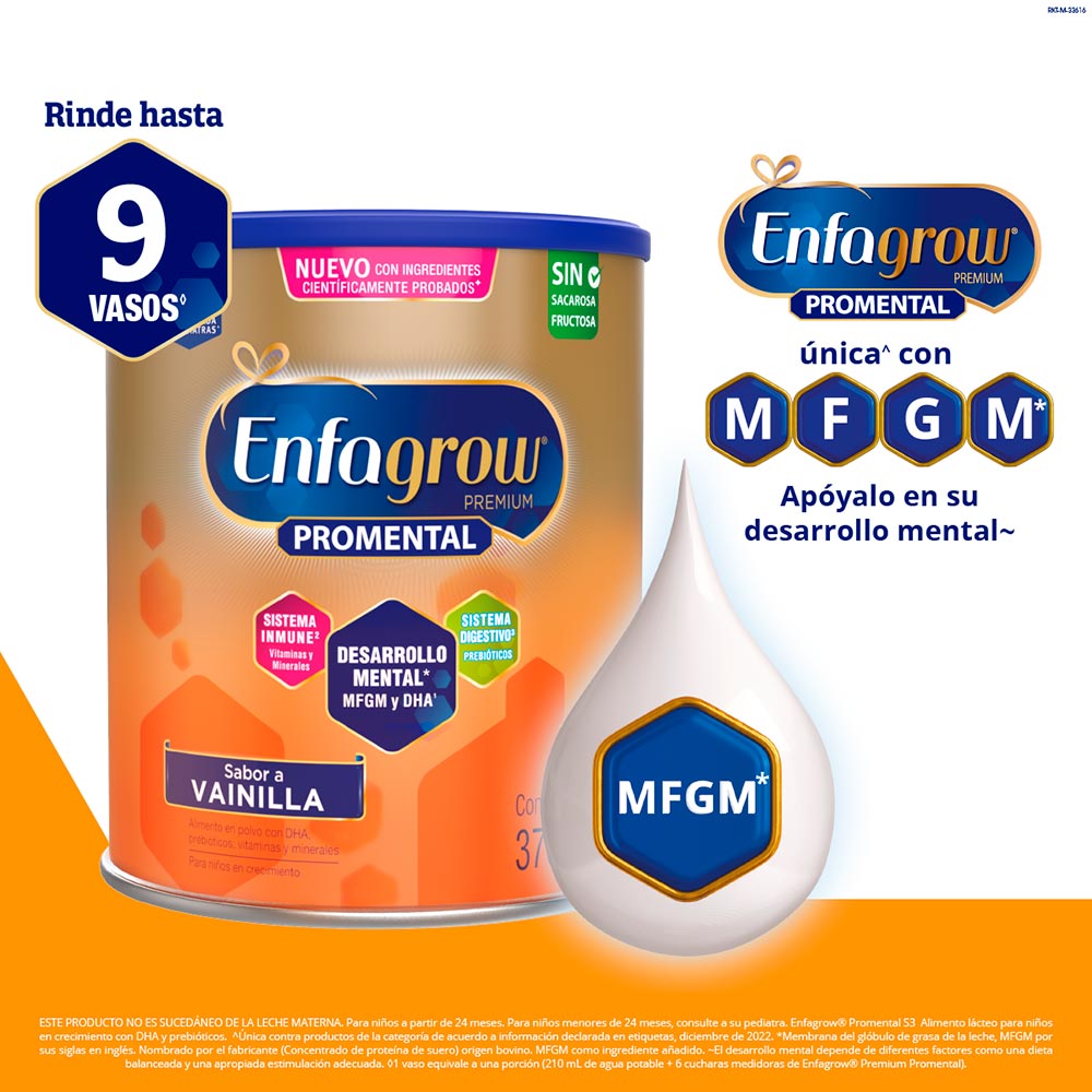 Enfagrow Premium ProMental Vainilla 375 G